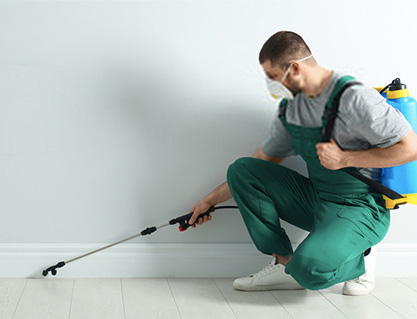 Pest Control Tyabb Services