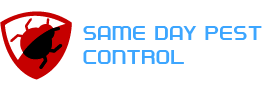 samedaypestcontroltyabb.com.au
